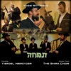 Yossi Shtendig - Timche