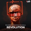 Revolution - Single