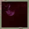 Moonlight - Single