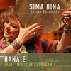 Sima Bina - Gole Zardom