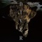 Receptor - Tobias Preisig lyrics