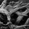 Driftwood