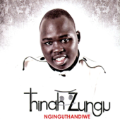 Nginguthandiwe - Thinah Zungu