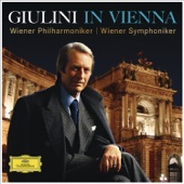 Symphony No. 4 in E Minor, Op. 98: 1. Allegro non troppo (Live At Musikverein, Vienna / 1989) artwork