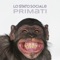 Amore Ai Tempi Dell'Ikea - Lo Stato Sociale lyrics