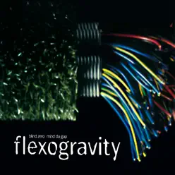 Flexogravity - EP - Blind Zero Flexogravity - EP - Blind Zero