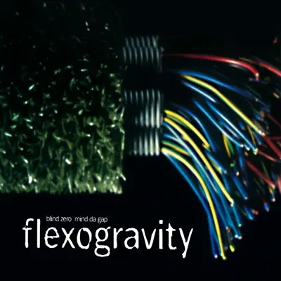 Flexogravity - EP - Blind Zero