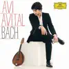 Violin Concerto No. 1 in A Minor, BWV 1041 - adapted for Mandolin and Orchestra by Avi Avital: I. (Allegro moderato) song lyrics