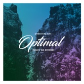 Optimal - Instrumental