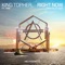 Right Now (feat. TRM) [Sam Feldt Radio Edit] - King Topher lyrics