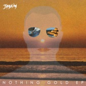 Nothing Gold (Todd Terje Remix) artwork