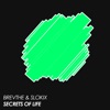 Secrets of Life - Single