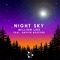 Million Lies (feat. Griffin Boucher) - Night Sky lyrics