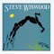 Slowdown Sundown - Steve Winwood lyrics