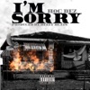 I'm Sorry - Single
