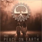 Peace on Earth (ÜNAM Remix) artwork