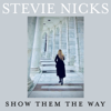 Stevie Nicks - Show Them The Way  artwork