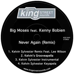 Never Again (Remix) [feat. Kenny Bobien] - EP by Big Moses album reviews, ratings, credits