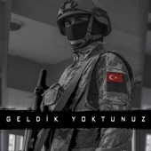 Geldik Yoktunuz artwork