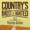 Grand Ole Country Live, Vol. 2 artwork