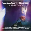 Lloras (feat. Noriel & Alex Rose) [Remix] song lyrics