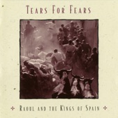 Tears for Fears - Break It Down Again (Acoustic Version)