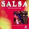 Salsa Instrumental, Vol. 1