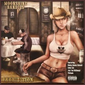 Prohibition artwork