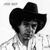 Joe Ely - If You Were a Bluebird