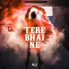 Tere Bhai Ne song lyrics