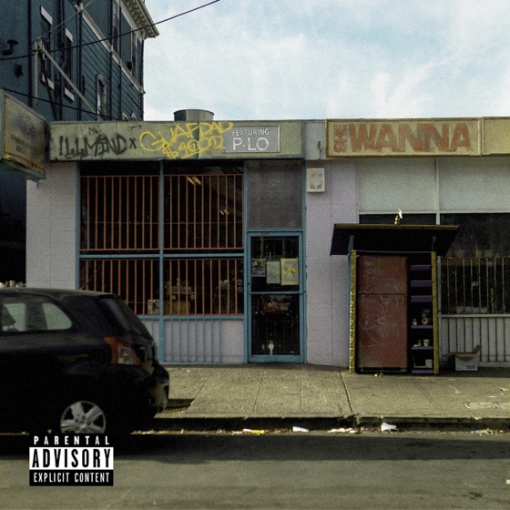Cover artwork for She Wanna (feat. P-Lo)