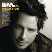 Chris Cornell - Finally Forever
