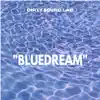 Bluedream (Demo) - Single album lyrics, reviews, download