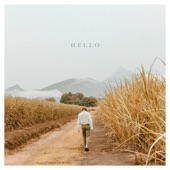 Hollow Coves - Hello