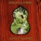 Aracari - Strunz & Farah lyrics