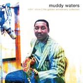 Muddy Waters - honey bee