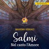 Salmi Nel canto l'Amore (Instrumental) artwork