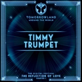 Timmy Trumpet at Tomorrowland’s Digital Festival, July 2020 (DJ Mix) artwork