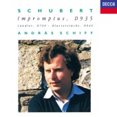Schubert: 4 Impromptus - 3 Piano Pieces - 12 German Dances artwork