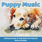 Puppy Music: Calming Songs to Help Relax Your Dog and Reduce Anxiety artwork