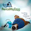 Music to Calm Anxious Dogs: Relaxing Sounds for Dogs Sugffering with Anxiety, Stress or Fear album lyrics, reviews, download