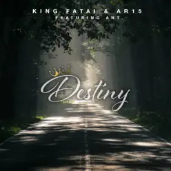 Destiny (feat. ANT.) - Single - AR-15 Destiny (feat. ANT.) - Single - AR-15