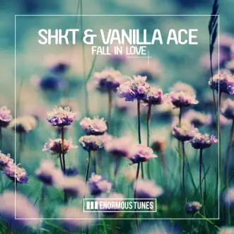 Fall in Love (Short Edit) by SHKT & Vanilla Ace song reviws