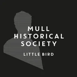 Little Bird - Single - Mull Historical Society