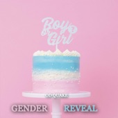 Gender Reveal artwork