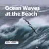 Stream & download Ocean Waves at the Beach