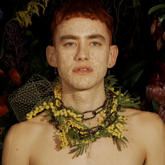 Cover artwork for Howl