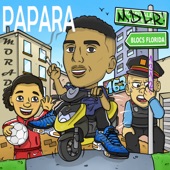 Papara artwork