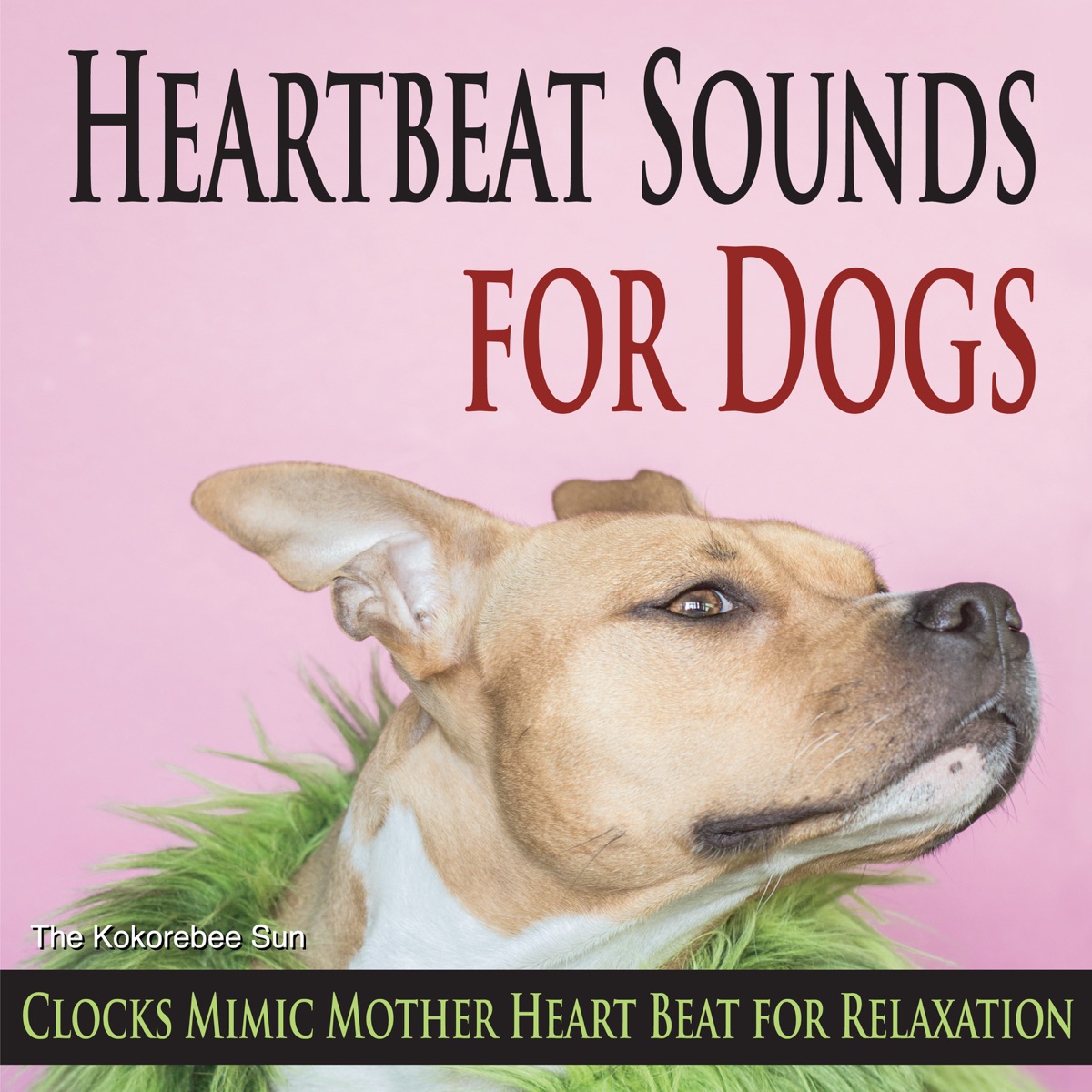 mother dog heartbeat sound