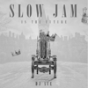 Slow Jam Is the Future (Instrumental) - DJ Ace